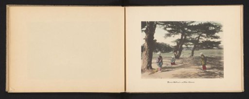 Three Japanese women working under pine trees