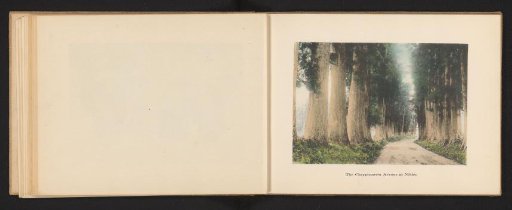 View of an Avenue with Japanese Cedars in Nikko