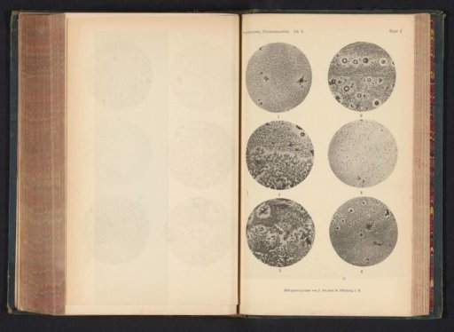 Six microscopic enlargements of minerals