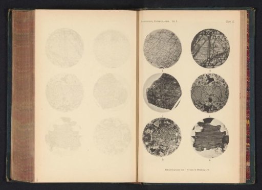 Six microscopic enlargements of minerals