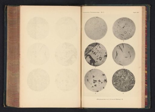 Six microscopic enlargements of minerals