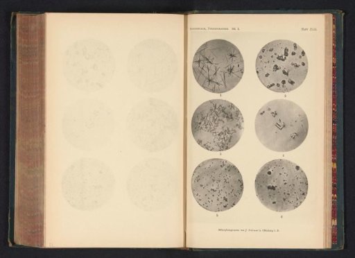 Six microscopic enlargements of minerals