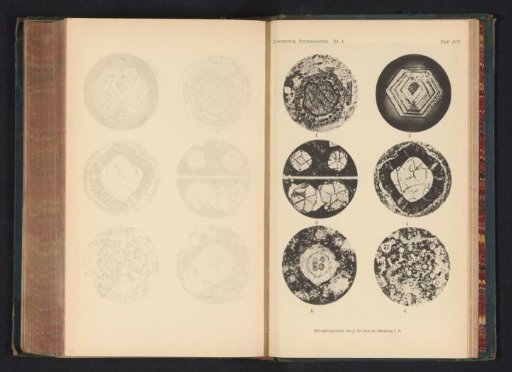Six microscopic enlargements of minerals
