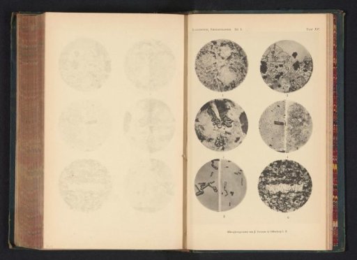 Six microscopic enlargements of minerals