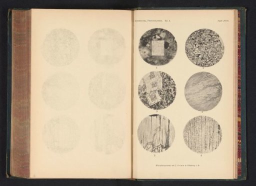 Six microscopic enlargements of minerals