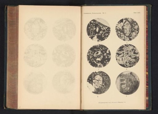 Six microscopic enlargements of minerals