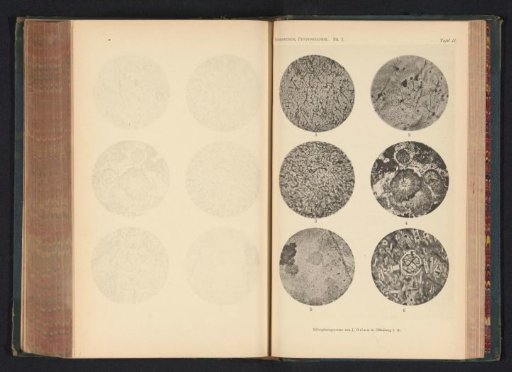 Six microscopic enlargements of minerals