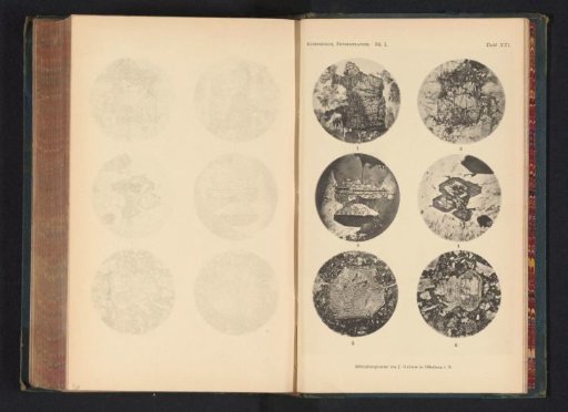 Six microscopic enlargements of minerals