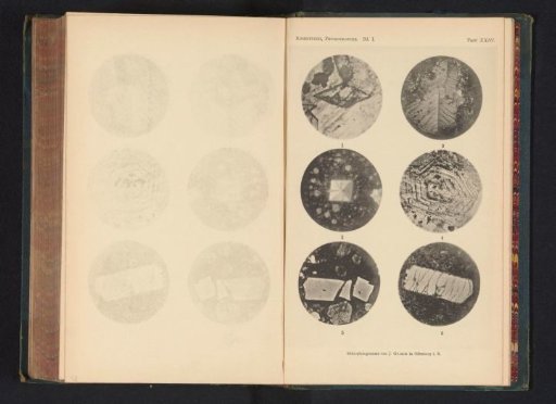 Six microscopic enlargements of minerals