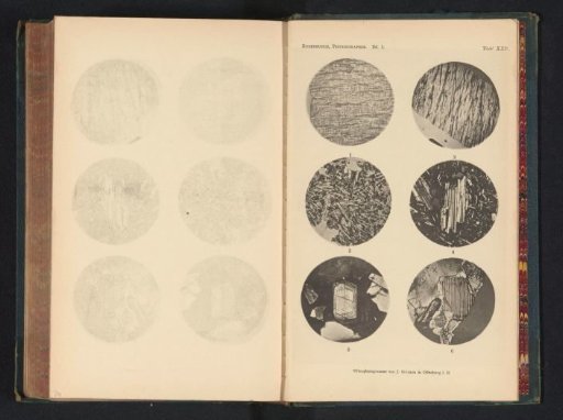 Six microscopic enlargements of minerals