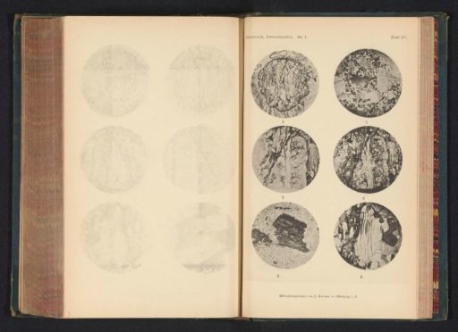 Six microscopic enlargements of minerals