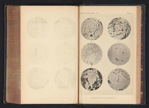 Six microscopic enlargements of minerals