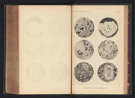 Six microscopic enlargements of minerals