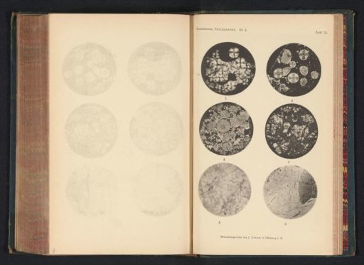 Six microscopic enlargements of minerals