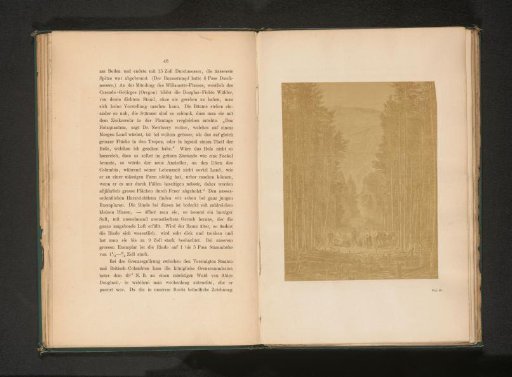 Photographic reproduction of a drawing of woodcutters in a forest of Douglas firs
