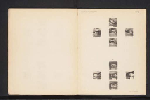 Ten eyes with squares reflected in them