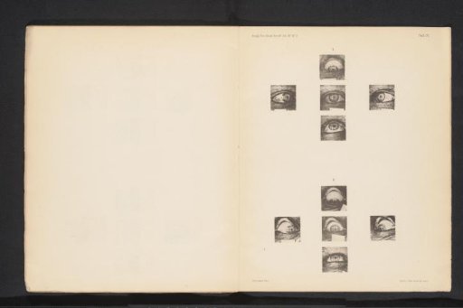 Ten eyes with squares reflected in them