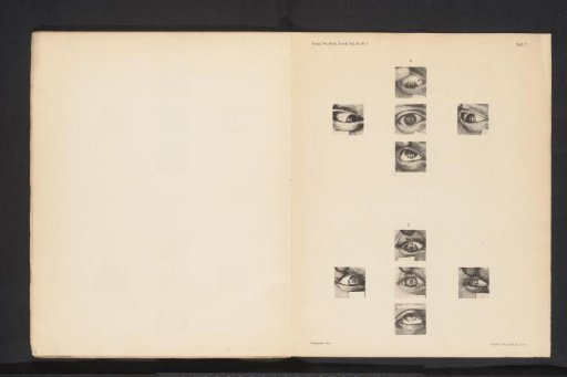 Ten eyes with squares reflected in them