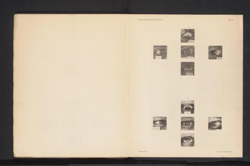 Ten eyes with squares reflected in them