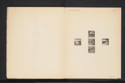 Five eyes with squares reflected in them