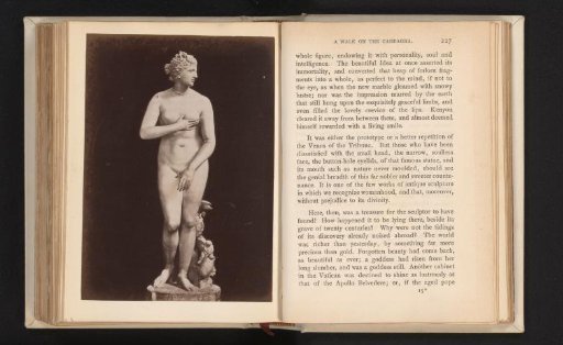 Venus de' Medici