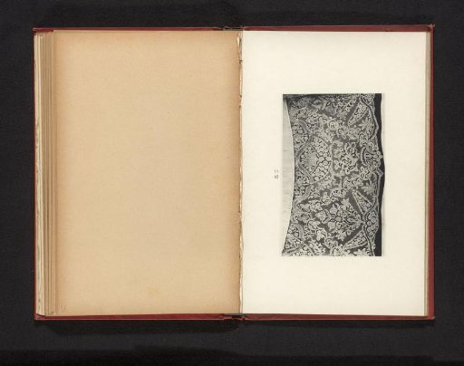 Lace with plant motifs