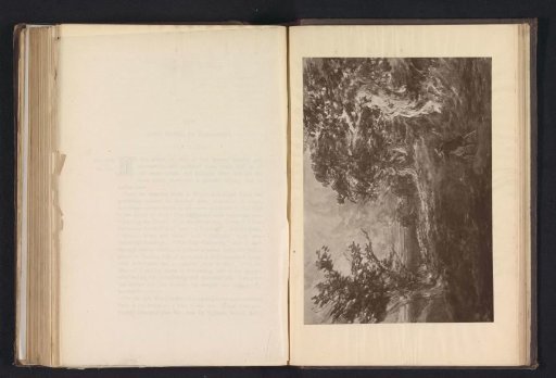 Photographic reproduction of a drawing of Sherwood Forest with a person by David Cox