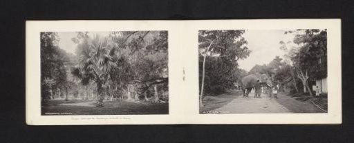 Peradeniya Gardens