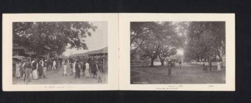 View of a Path Between Trees with Unknown Persons Alongside