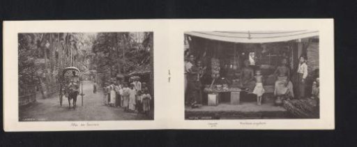 View of a Path Between Trees with a Cart Drawn by a Cow