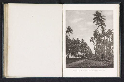 View of a road along the coast in Tahiti