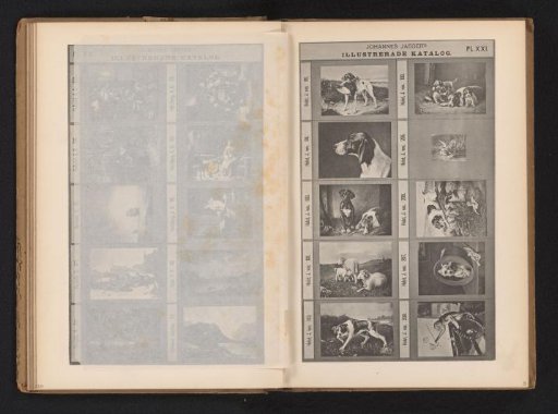 Photographic reproduction of ten paintings of animals