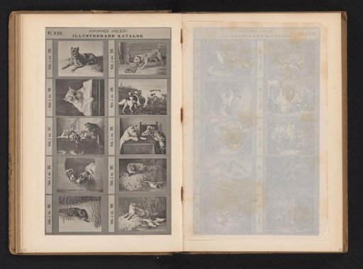Photographic reproduction of ten paintings of animals