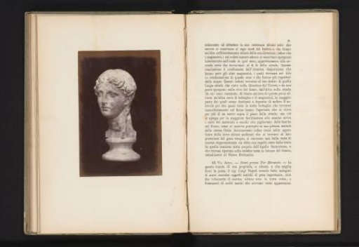 Sculpture representing the head of (presumably) Apollo Sauroktonos