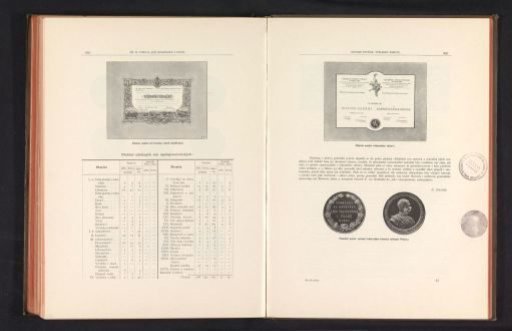 Diploma and two sides of a medal