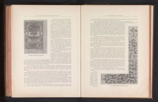 Photographic reproduction of a drawing depicting a floral ornament
