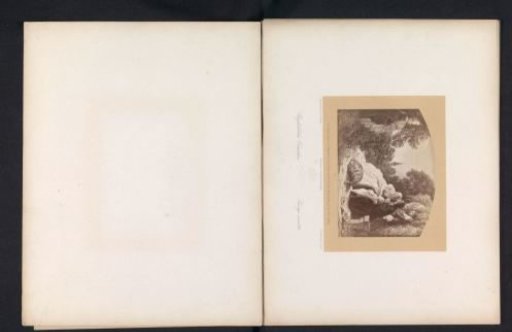 Photographic reproduction of a drawing of a company in a garden looking at a streak of light in the sky