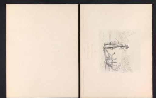 Photographic reproduction of a drawing of a man with a newspaper and a bell, and in front of him a flock of geese