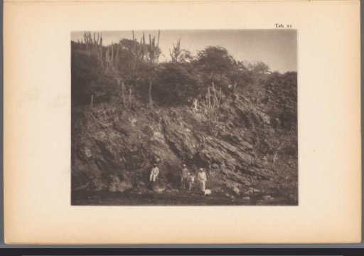 Three men with a donkey in the ravine at the foot of the Sint-Christoffelberg on Curaçao
