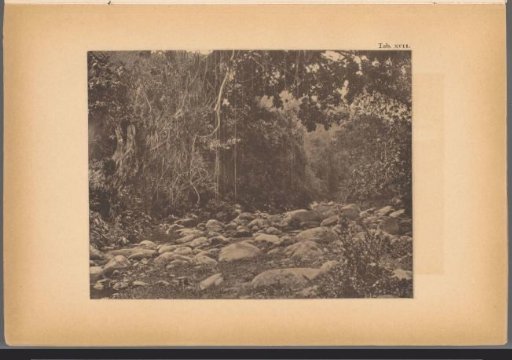 View of a riverbed of the San Esteban River in Venezuela