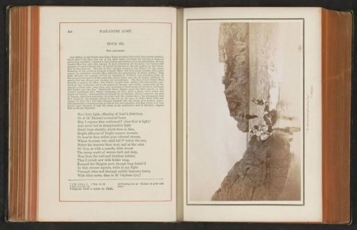 Playing children in the surf