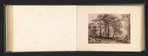 Photographic reproduction of a drawing of a landscape with Scots pines