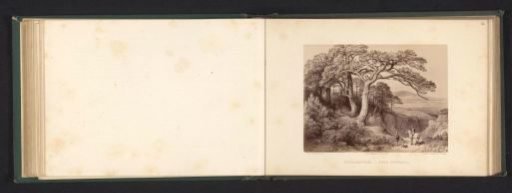 Photographic reproduction of a drawing of a landscape with black pines, walkers, and a rider