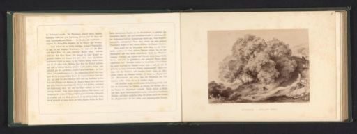 Photographic reproduction of a drawing of a landscape with a walnut tree