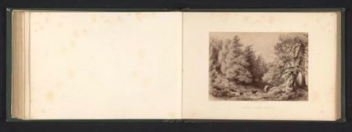 Photographic reproduction of a drawing of a landscape with larches and a walker with a dog