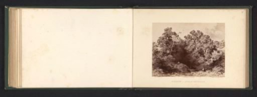 Photographic reproduction of a drawing of a landscape with summer oaks