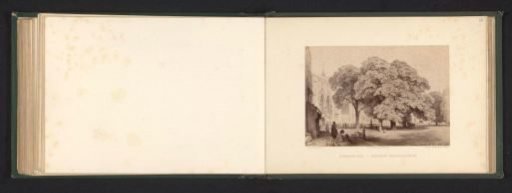 Photographic reproduction of a drawing of a white horse chestnut on a square in front of a church