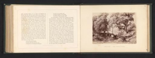 Photographic reproduction of a drawing of a landscape with a common maple and cows