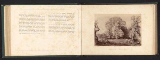 Photographic reproduction of a drawing of white poplars, or silver poplars, on an open plain in a forest