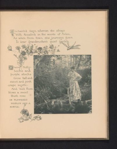 Woman Standing on Stones in a Stream in a Forest